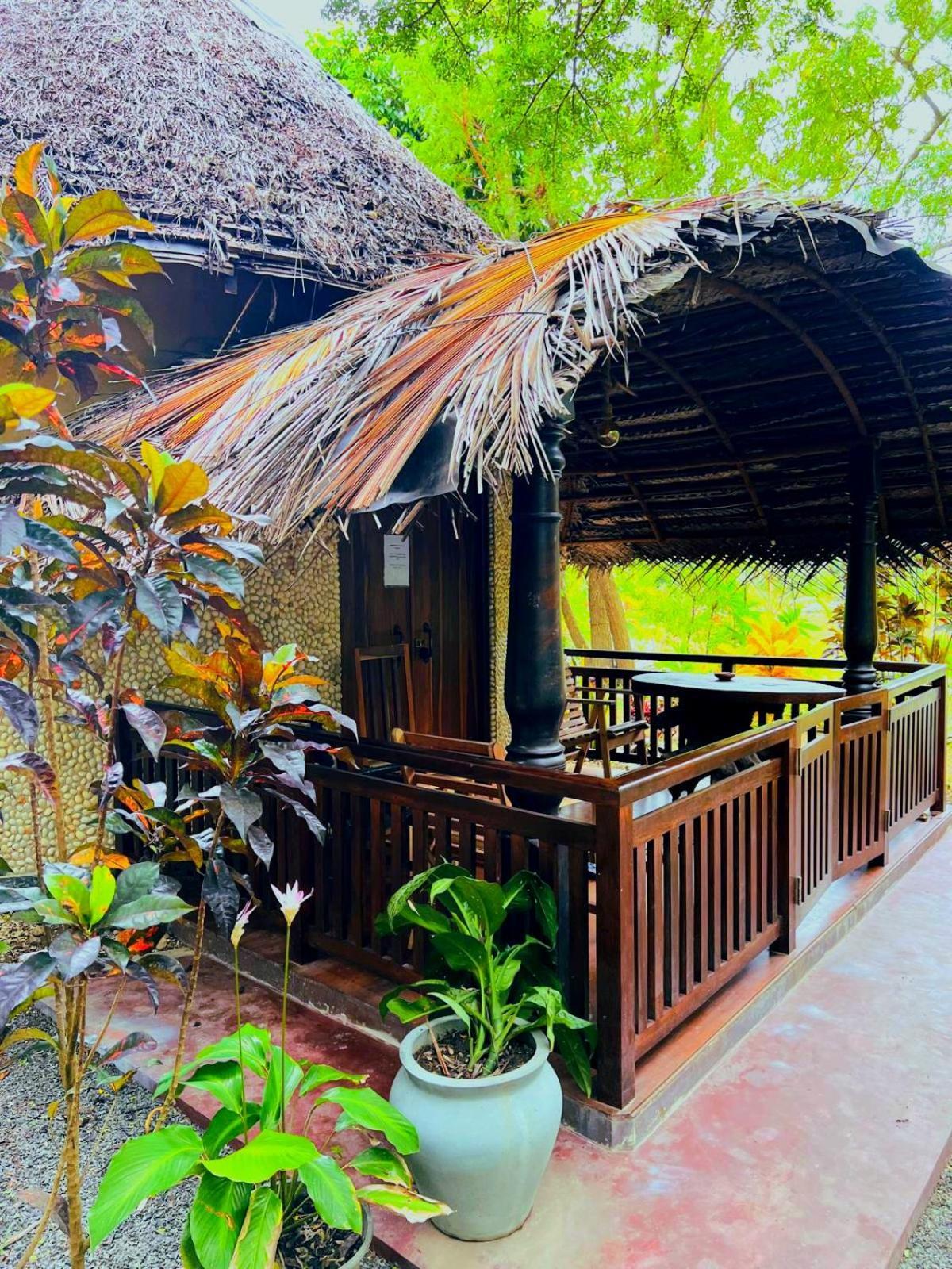 Turtle Watch Cabana Tangalle Extérieur photo