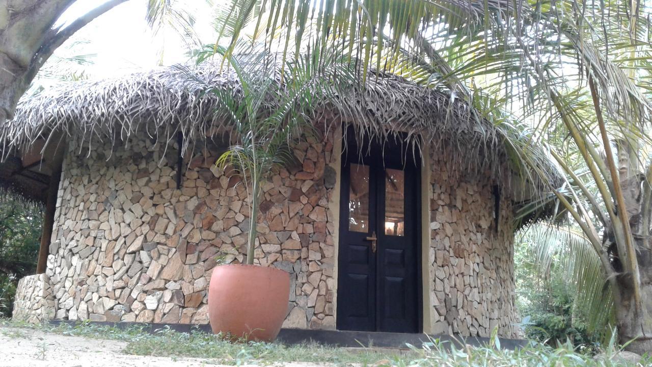 Turtle Watch Cabana Tangalle Extérieur photo