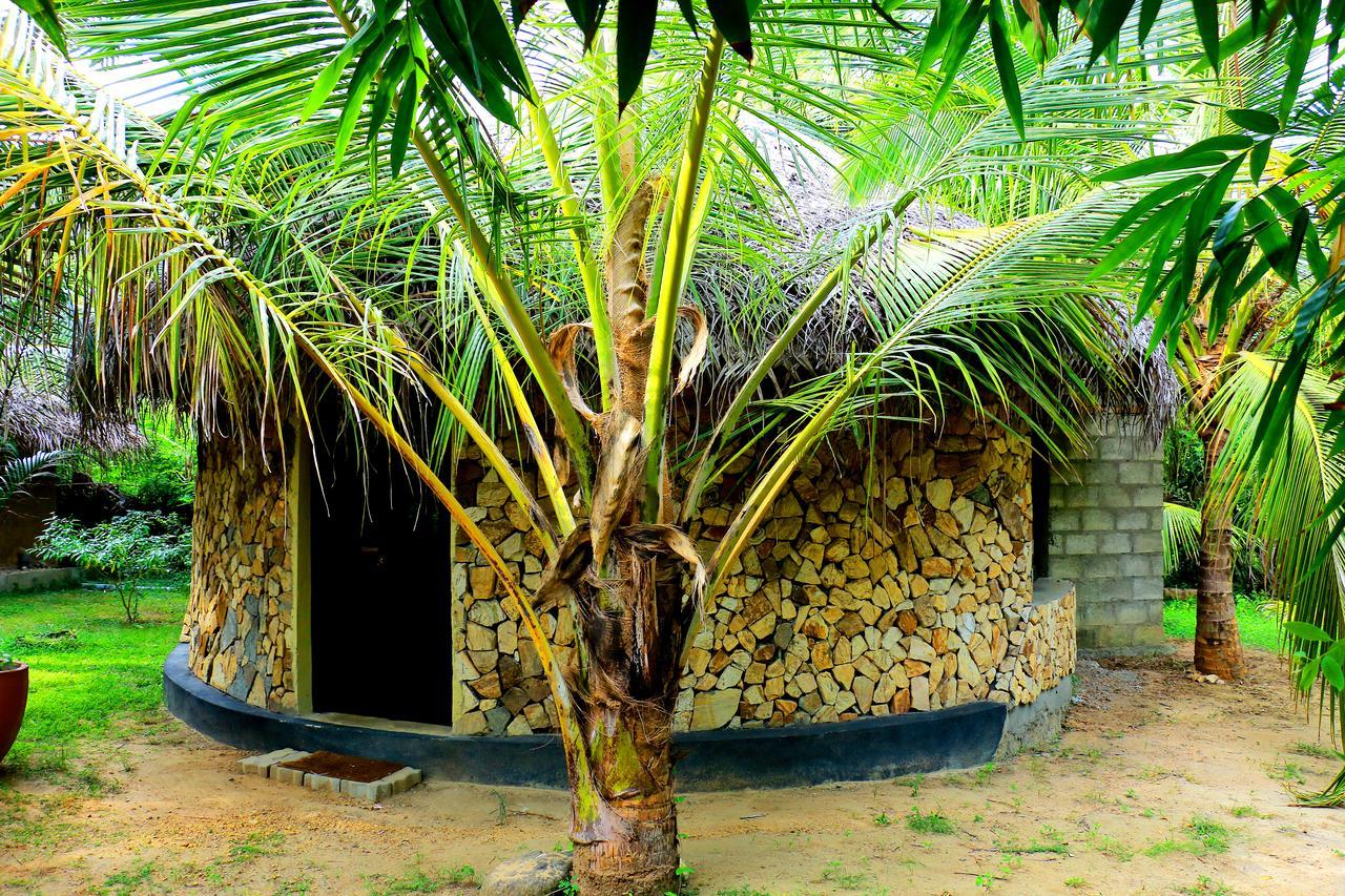 Turtle Watch Cabana Tangalle Extérieur photo