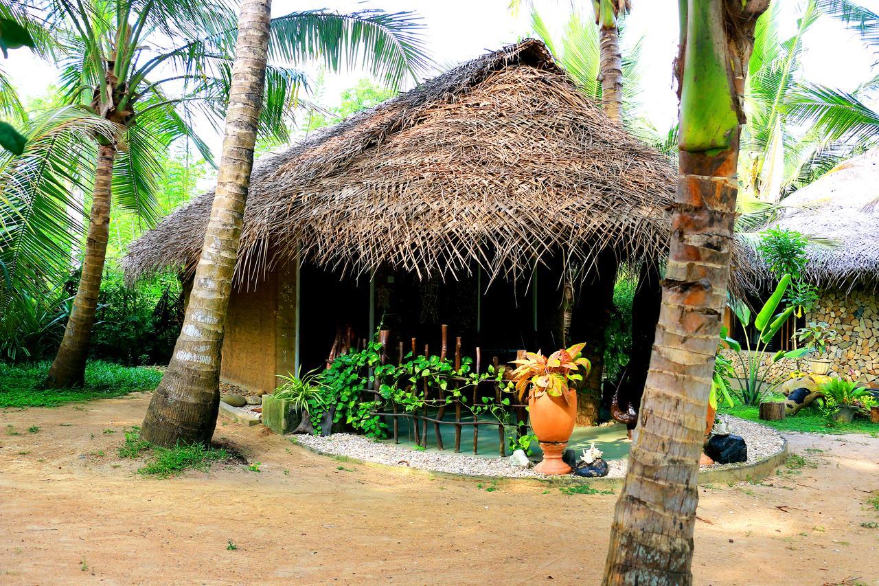 Turtle Watch Cabana Tangalle Extérieur photo